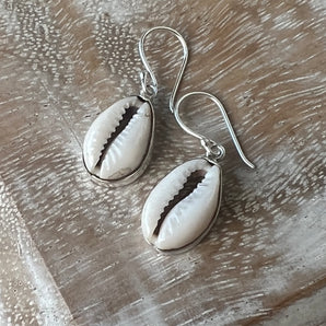 Silver Cowrie Shell Earrings