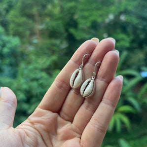 Silver Cowrie Shell Earrings